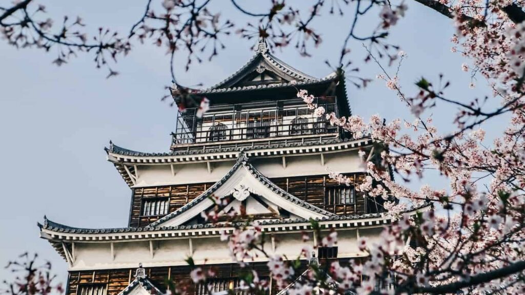 hiroshima castle cherry blossom japan