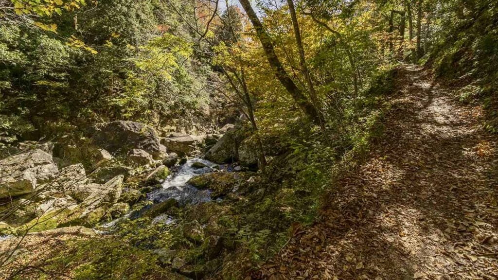 landscape sandankyo gorge waterfalls and forest trails hiroshima japan