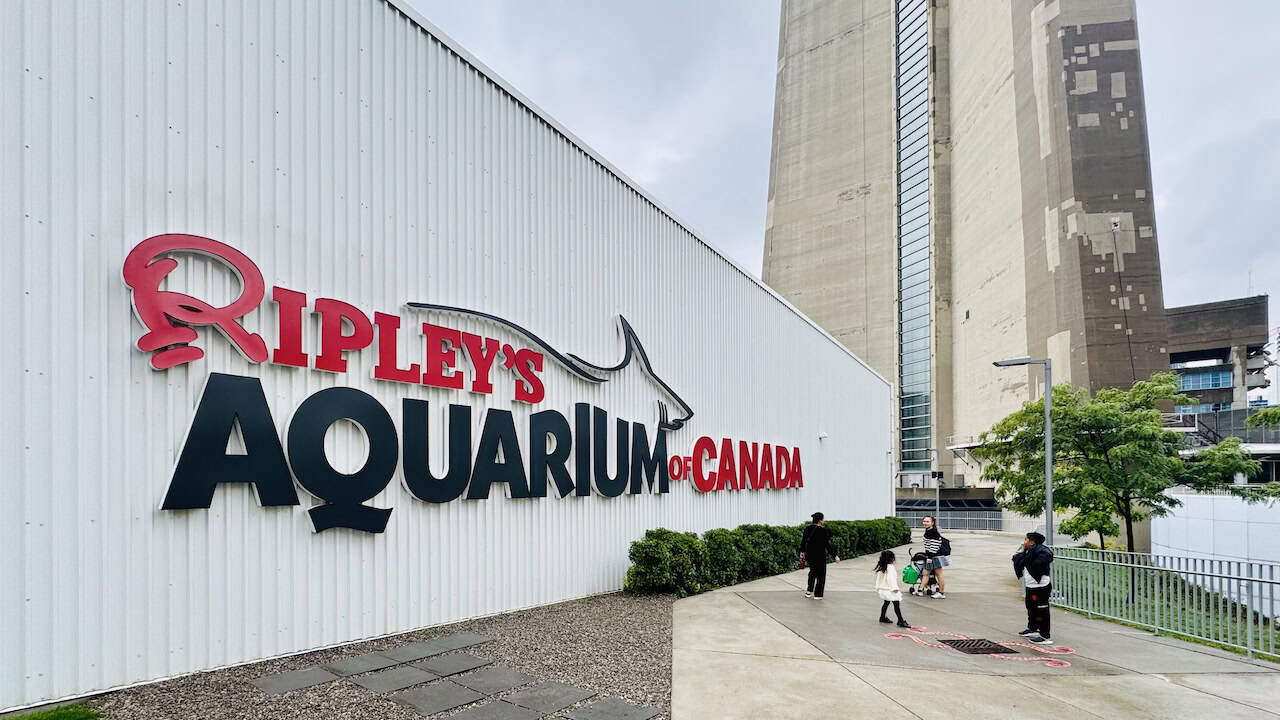 Ripley’s Aquarium of Canada: A Complete Family Visitor Guide | The