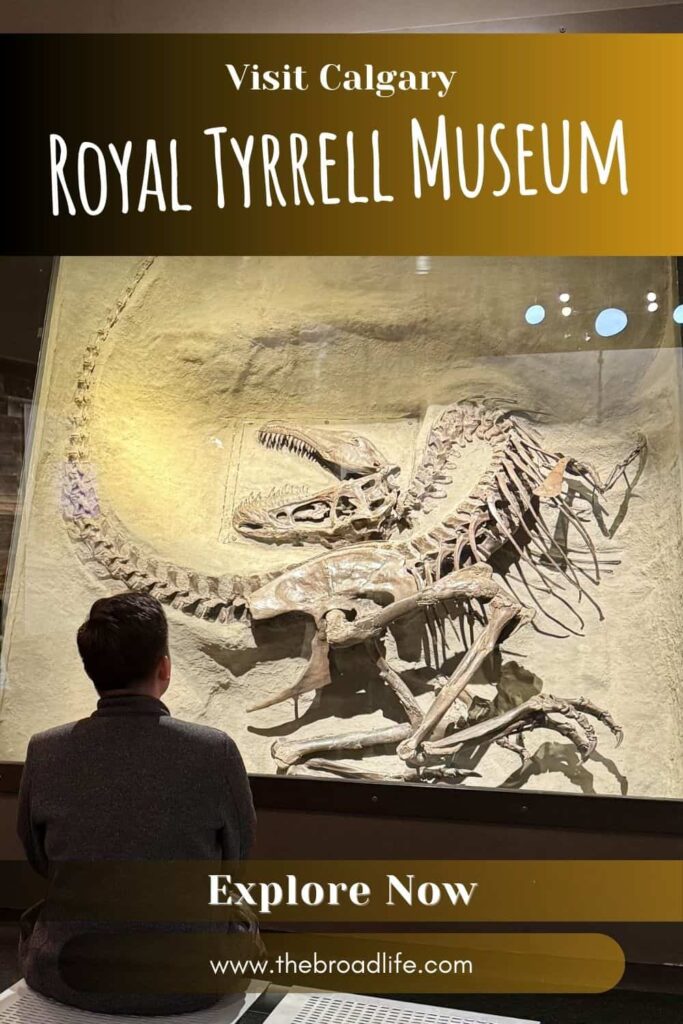 Royal Tyrrell Museum dinosaur fossil exhibits in Drumheller near Calgary, Canada