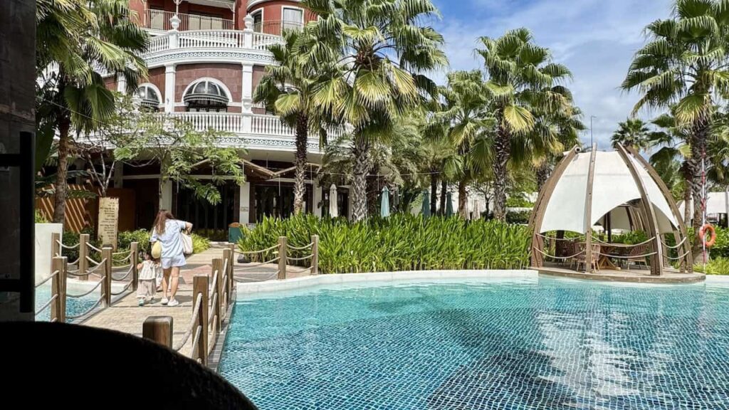 Swimming pool surrounded by palm trees